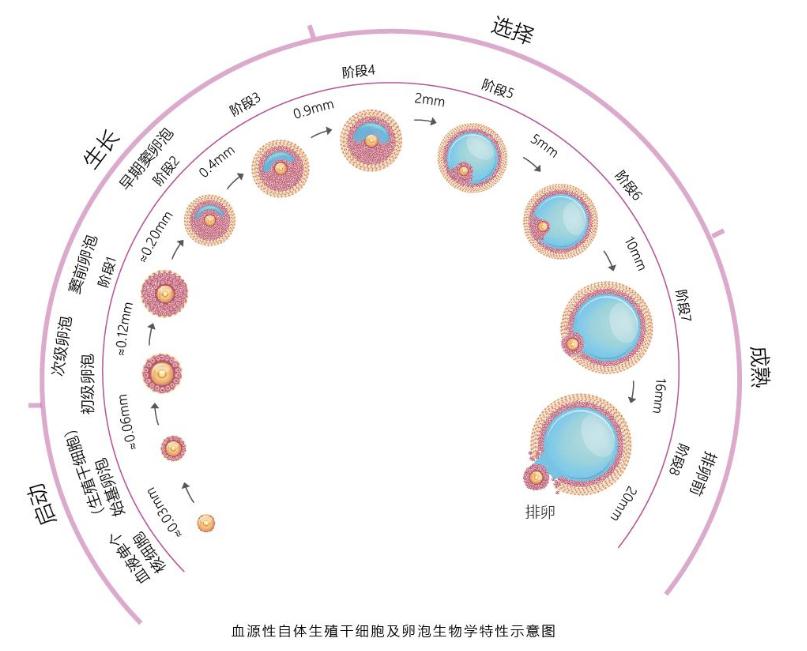 微信截圖_20190916171020.jpg