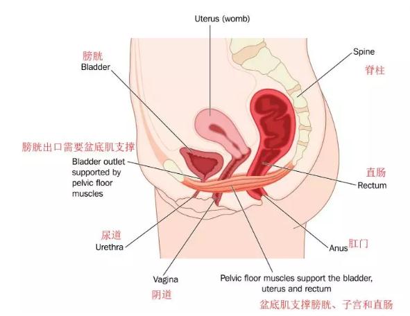 微信截圖_20190815105517.jpg